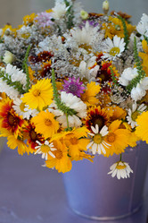 Similar image 1759181