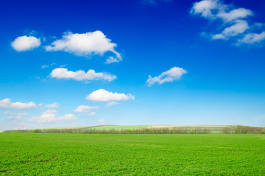 Similar image 1759427