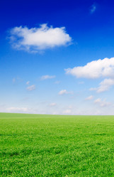 Similar image 1759430