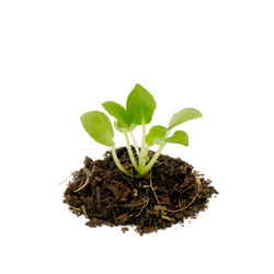 Similar image 1759435