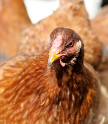 Similar image 1759444