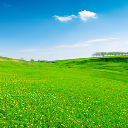 Similar image 1759467