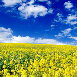 Similar image 1759470