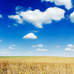 Similar image 1759471