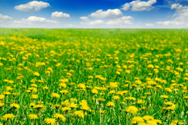 Similar image 1759475