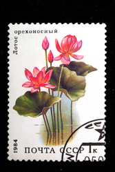 Similar image 1759821