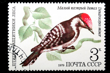 Similar image 1759857