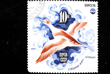 Similar image 1759864