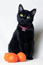 Similar image 1760246