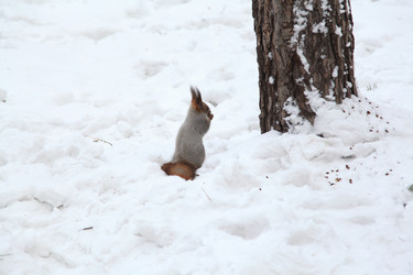 Similar image 1760263