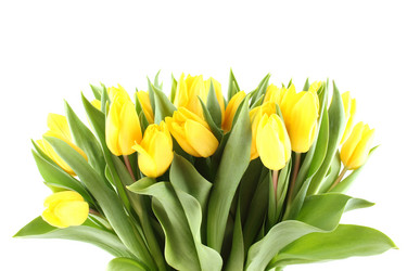 Similar image 1760325