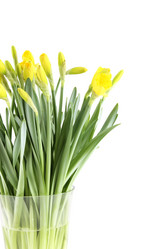 Similar image 1760327