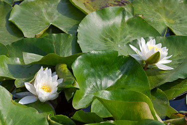 Similar image 1760349