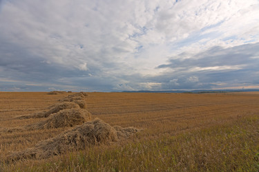 Similar image 1760351