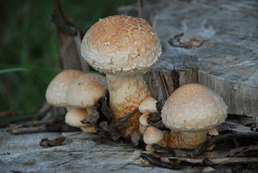 Similar image 1760360