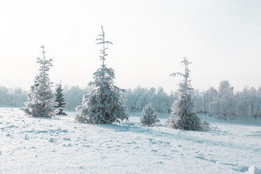 Similar image 1760397