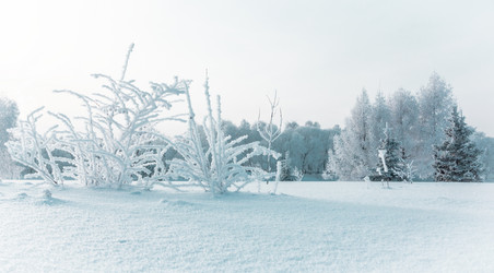 Similar image 1760399