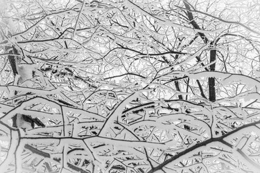 Similar image 1760403