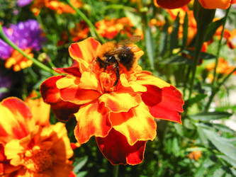 Similar image 1760479