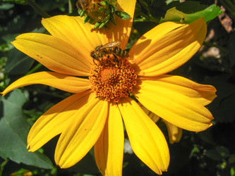 Similar image 1760480