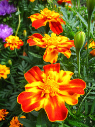 Similar image 1760483