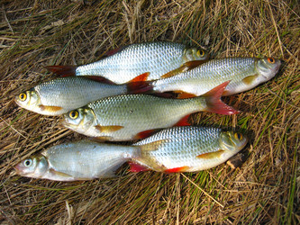 Similar image 1760502