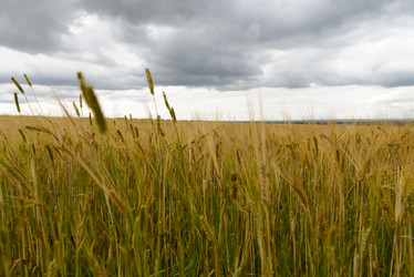 Similar image 1760547