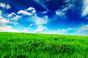 Similar image 1760582