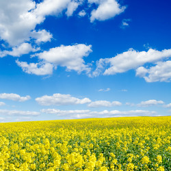 Similar image 1760594