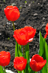 Similar image 1760600