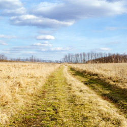 Similar image 1760603