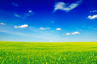 Similar image 1760604