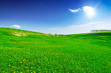 Similar image 1760608