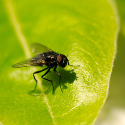 Similar image 1760609