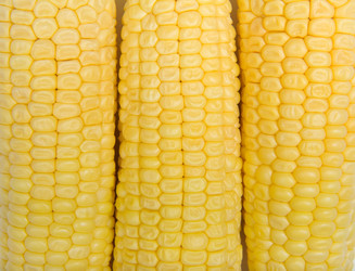 Similar image 1760653