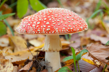 Similar image 1760703