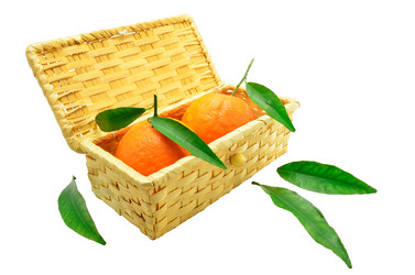 Similar image 1760842