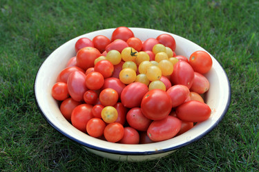 Similar image 1761174