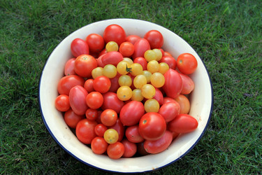 Similar image 1761183