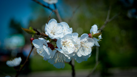 Similar image 1761227