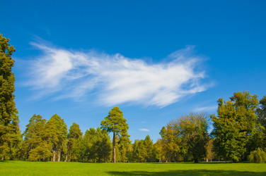 Similar image 1761246