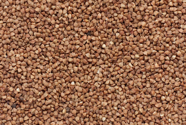 Similar image 1761275