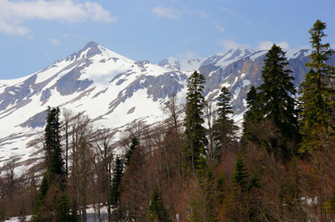 Similar image 1761284