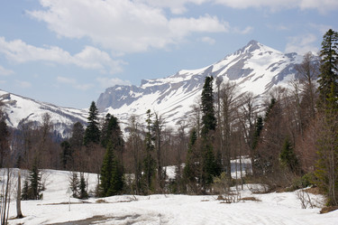 Similar image 1761286