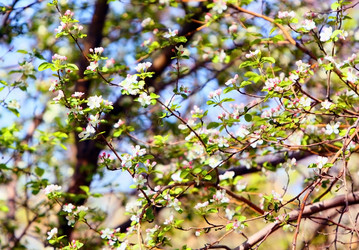 Similar image 1761318