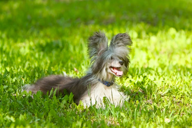 Similar image 1761320