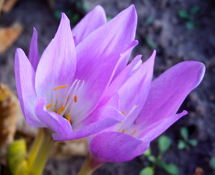 Similar image 1761323