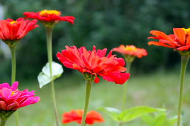 Similar image 1761324