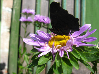 Similar image 1761429