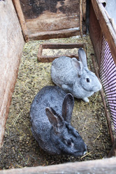 Similar image 1761438